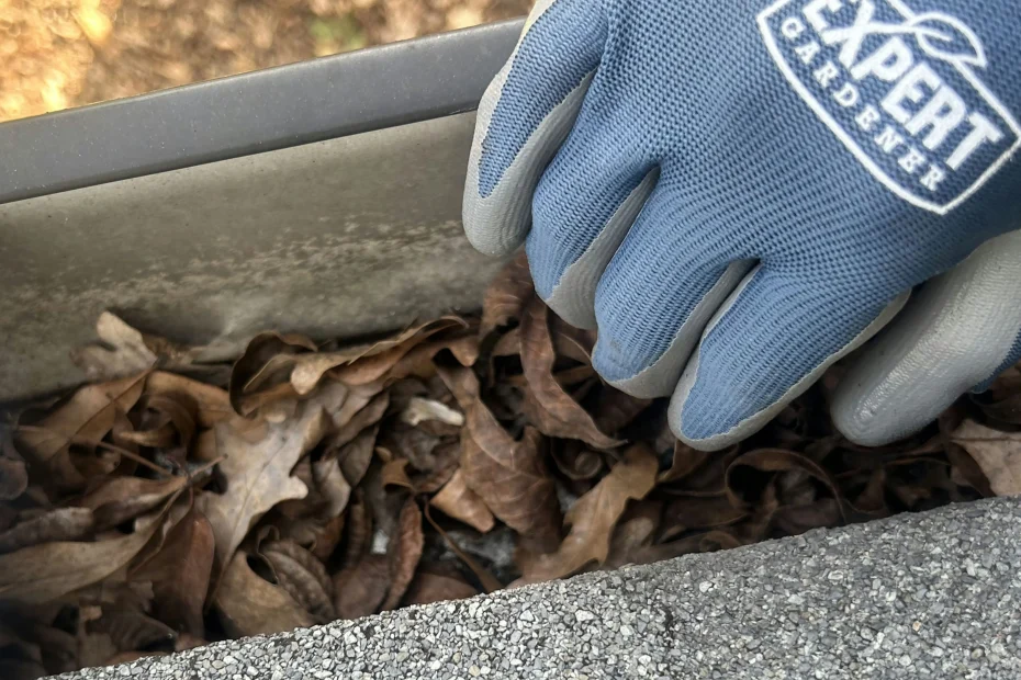 Ballwin Gutter Cleaning